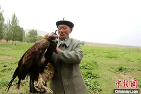 驯鹰人库尔马西：半个多世纪的传统文化守望图片