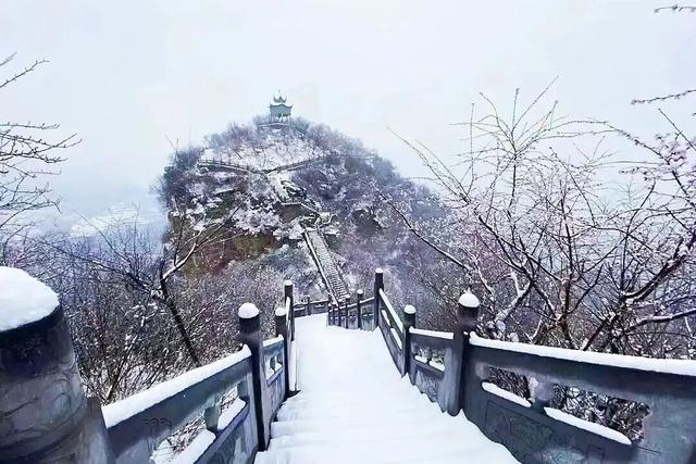 “洛阳怎么一下雪，就封神。”