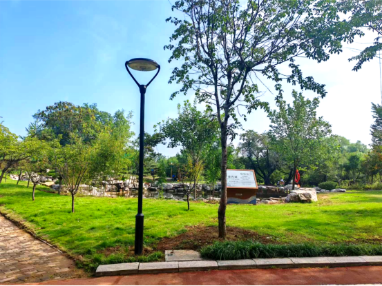 焕新归来！沂水东皋公园：四季有景夜有光 古塔生辉美出圈