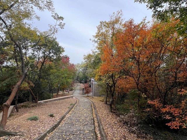 千年古县如何用“慢趣”打动年轻人？