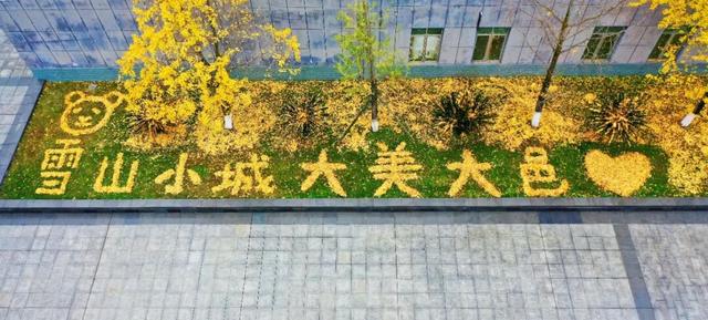 超美！大邑人的顶流来了