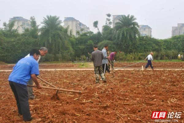秋游时刻丨在湖南省植物园，听到了园丁们唱岀来的秋之歌