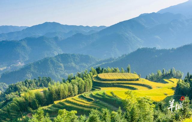 茶乡遂川来广州推介，显文旅独特魅力