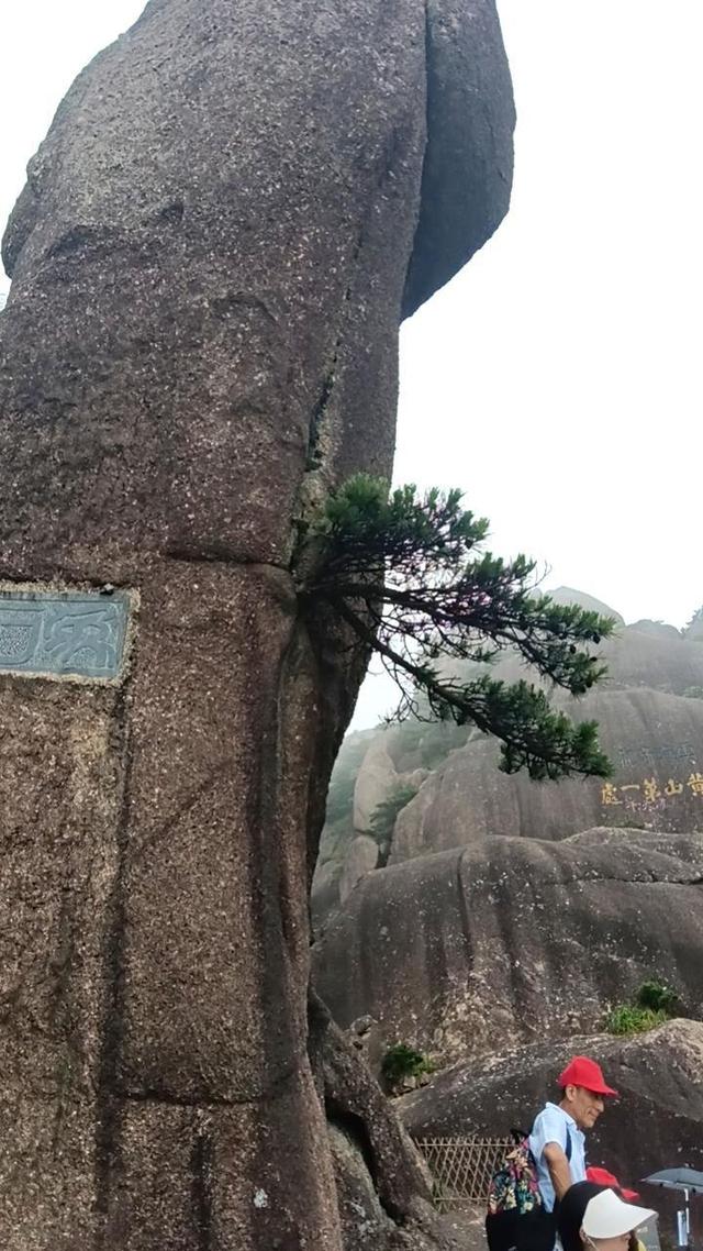 晚潮｜从迎客松到光明顶的奇幻旅程