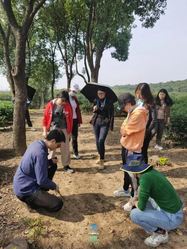 南京游学丨宝藏路线！田野考察，寻访刻在岁月里的南朝石刻（9/19-21）
