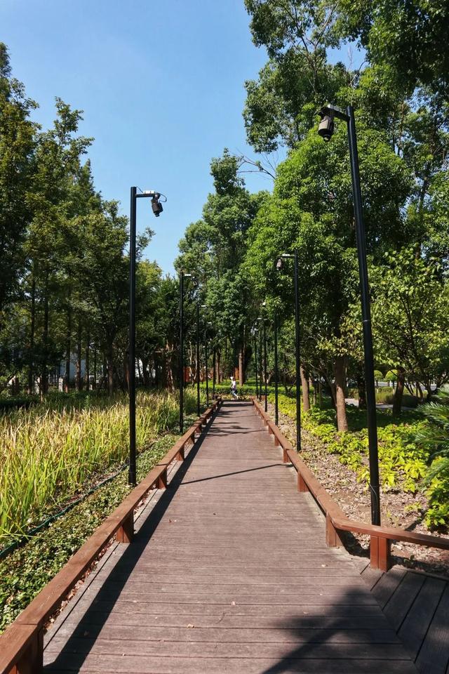 闵行人的嘴真严啊，街头那么多公园却不说……