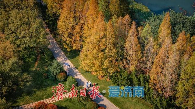 一年四季 泉在济南丨济南森林公园，秋日绘就斑斓盛景