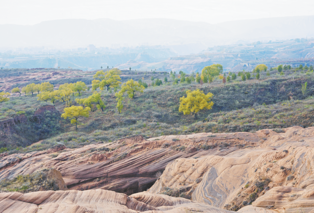 大美陕西 || 塞下秋来风景异