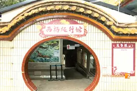 昆明动物园添新馆！有缅甸蟒、眼镜王蛇、鬣蜥、象龟等32种动物图片