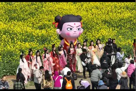江夏五里界油菜赏花季启动，十大赏花会场一路畅游，赏花海金浪图片
