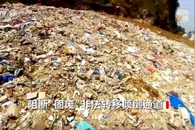 快评丨非法倾倒“固废”成生意，环保责任没有“交界区”图片