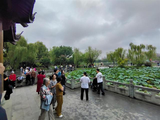 雨水挡不住热情！近3万名游客为武汉园博园十周年庆生！