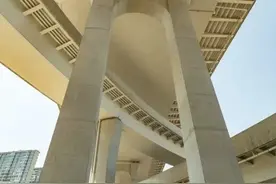 主桥亮灯、栖霞互通主体完工，仙新路过江通道冲刺全线建成图片