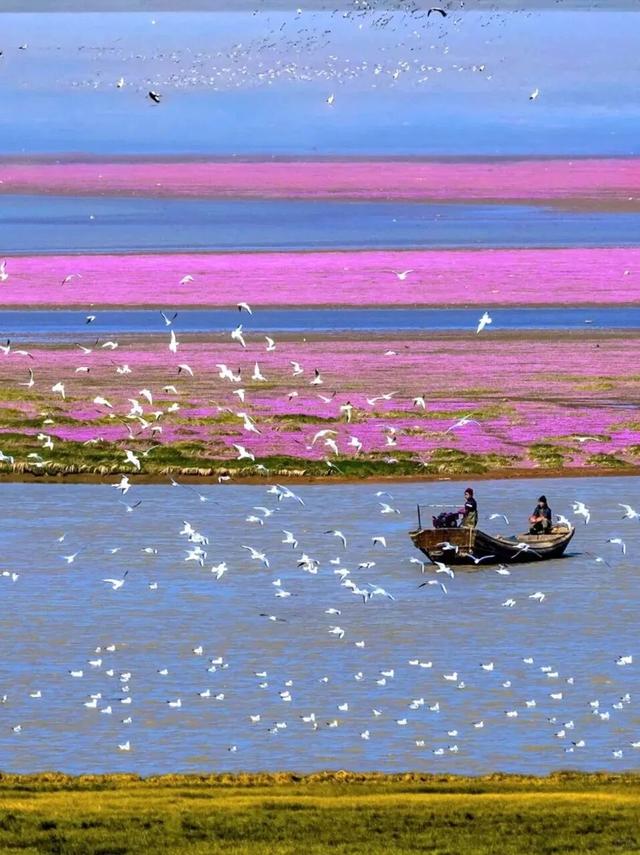 跟着课本游赣鄱！