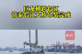 巨龙横跨长江，世界最大跨度斜拉桥吊装完成图片