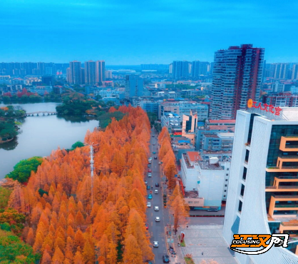 跟着地图赏秋色 荆州发布城区“落叶缓扫”地图