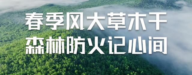 重磅！第二届全国紫苏科学技术与产业发展大会将在鄂伦春自治旗召开