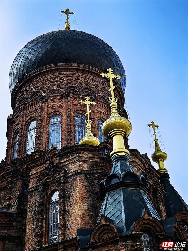 岁暖时刻丨来哈尔滨，一定要走一次中央大街