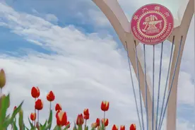 来上海交大闵行校区赏花啦！还能到校内食堂吃饭图片