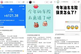 “涨了上千元！”油车保费变贵，怪新能源车？图片