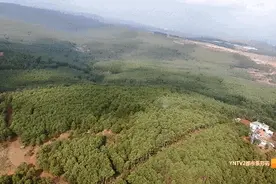 注意！近期，昆明这个辖区随时有无人机巡查……图片