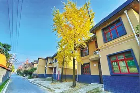 西安打造关中新农房图片