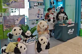 累计定制5万+！这只“成都造”仿真熊猫，销往50多个国家和地区图片