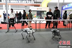 第三十六届内蒙古农业博览会开幕图片