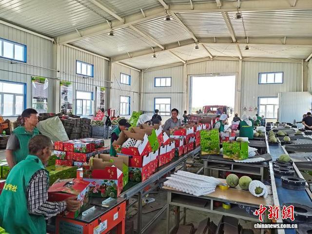 “中国甜瓜之乡”103团第十一届甜瓜文化旅游季举办