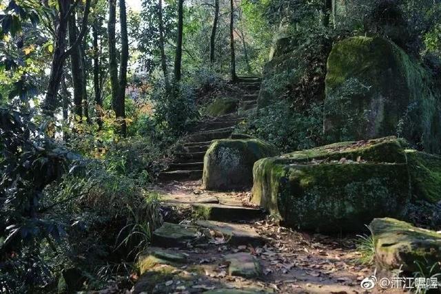 把周末还给山野｜带娃爬山撒欢，沿途风景绝美