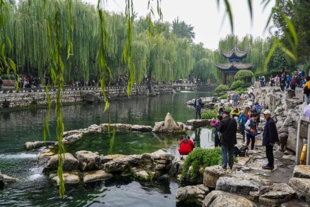 新华走笔丨秋日济南，千泉尽欢