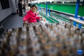 云南会泽：从“远方寻梦”到“家门口就业”图片