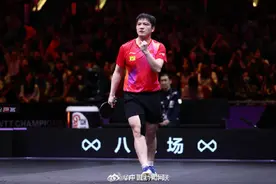 樊振东4比0雨果图片