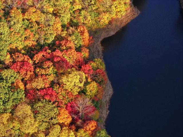 央媒看白山 | 人民网：白山，不止长白山