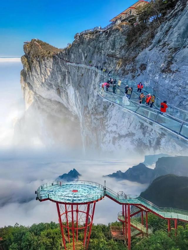 张家界的“野”心：把荒野求生50亿流量变成旅游“留”量