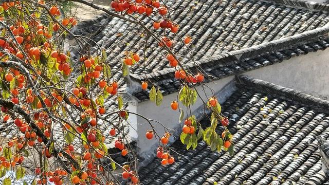 解锁黟县秋日限定美好！