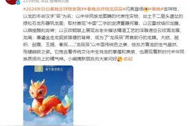龙年春晚吉祥物被质疑AI合成，官方回应！图片