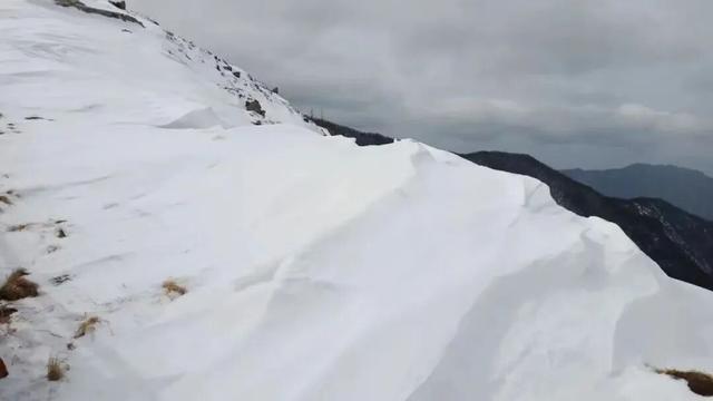 来太白山过冬吧！