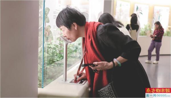 占地9500㎡来保存香味 背后是一部人文、产业与岭南的气味史