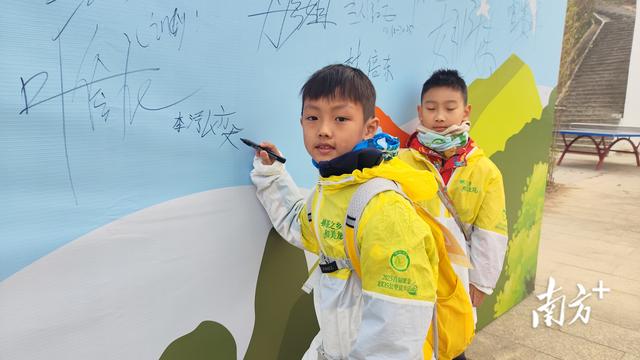 穿越万亩茶园，紫金龙窝首届徒步活动吸引千人打卡“蝉茶小镇”