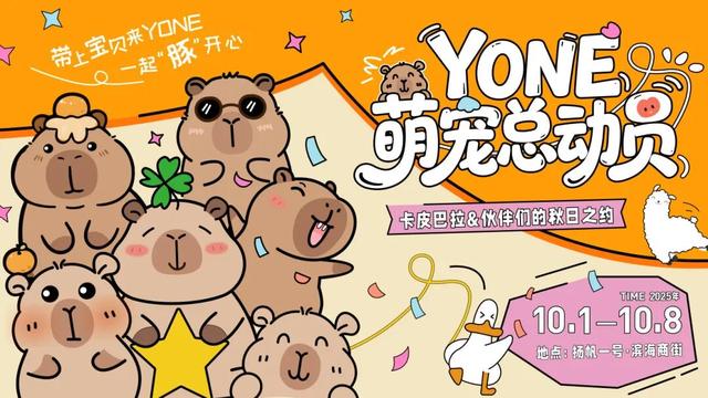国庆游翔安丨卡皮巴拉、羊驼…与萌宠为伴，嗨翻假期