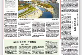 宝鸡市渭滨区：增“颜”提“质” 绘就乡村新画卷图片