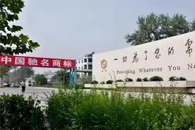 新质生产力激活山东民企“一池春水”图片