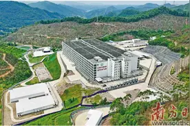 生猪“上楼” 智慧高效图片