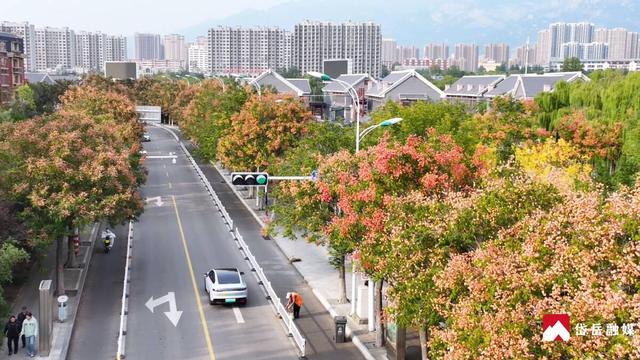 岱岳金秋：斑斓胜景绘就诗意画卷