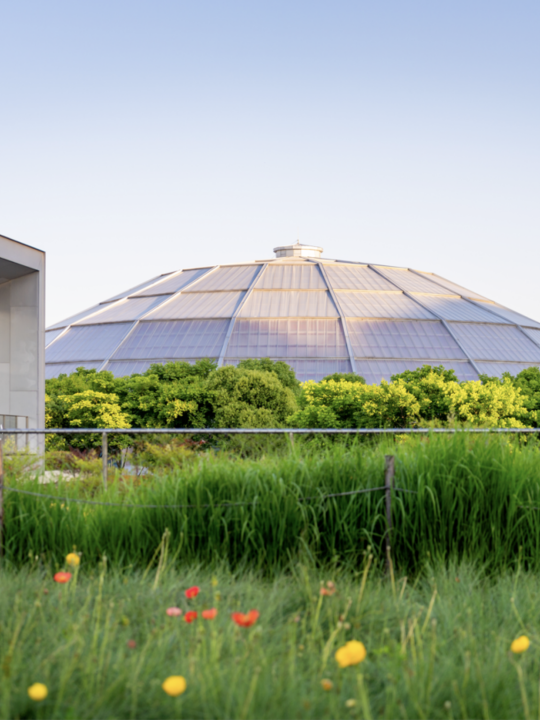 最佳季节！上海市中心也有人少景美骑行线