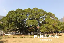 周末去哪儿 | 放飞童心 六一节福州遛娃全攻略图片