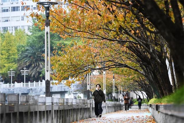 贵阳：初冬时节好风景