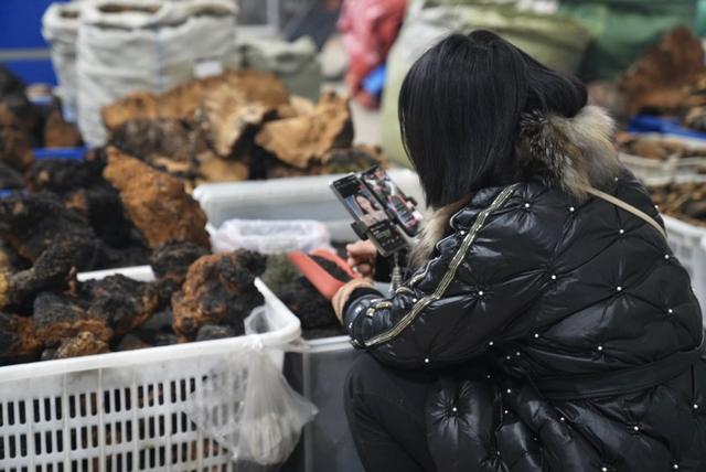 “人参+冰雪”跨界融合，白山抚松探索出冬季旅游新生活