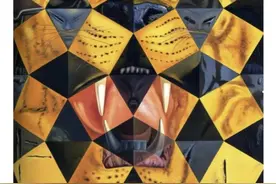 当孩子注意力涣散：艺术家观察到的，比你多在哪？图片